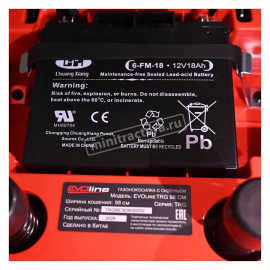 Садовый трактор EVOline TRG 98 CM